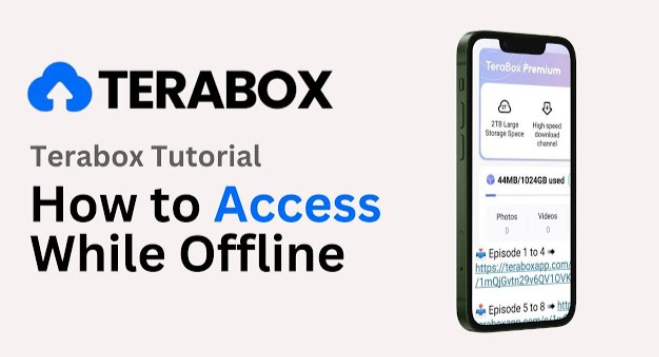 TeraBox Video Download with Quality Selection Explained Simply